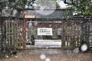 島根・出雲大社の雪景写真
