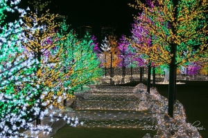 大阪城公園のイルミネーション写真