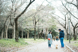 大阪・大阪城公園の前撮り写真